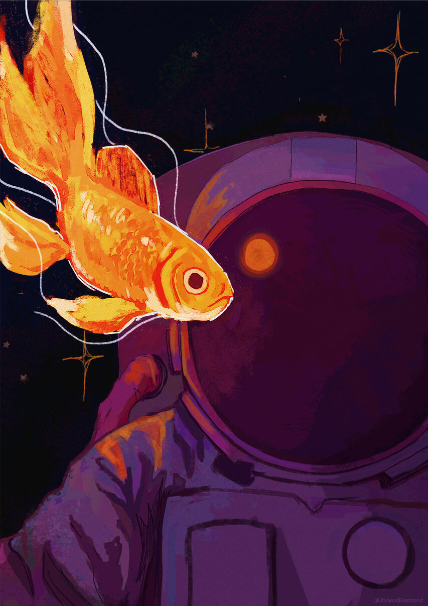 Wishing Upon a Star